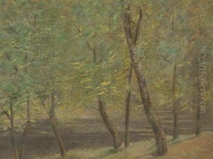 Pond Between Trees