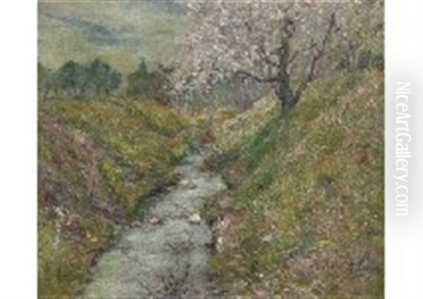 Spring Gorge - view 1