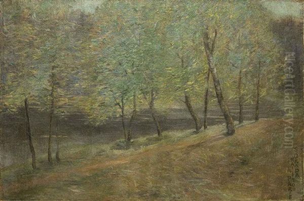 Forest - view 1