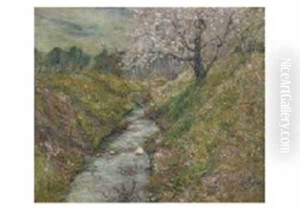 Spring Gorge - view 1