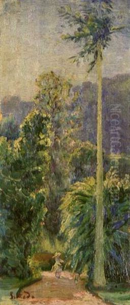 Tropical Landscape - view 1