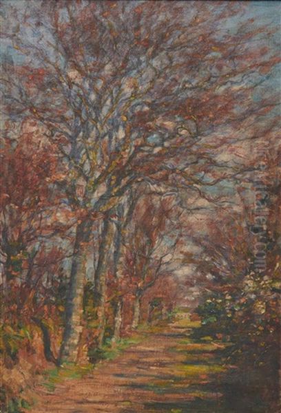 Tree Lined Lane - view 1