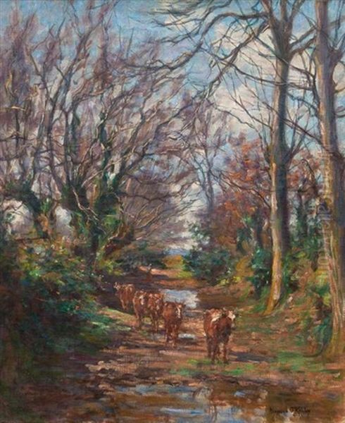 Cattle In A Woodland Path - view 1