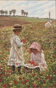 Among The Poppies by Aloysius C. O'Kelly