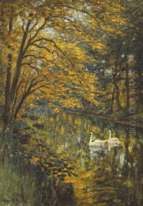 Swans On A River by Aloysius C. O'Kelly