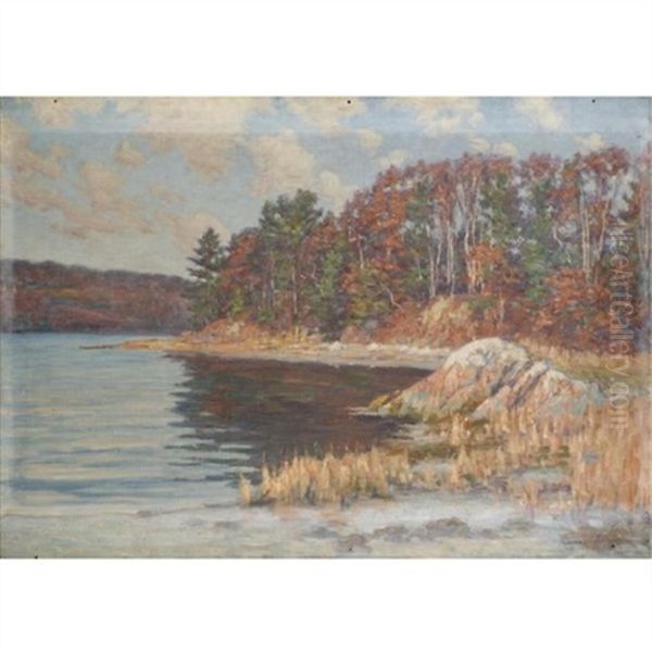 Along The Shore - view 1