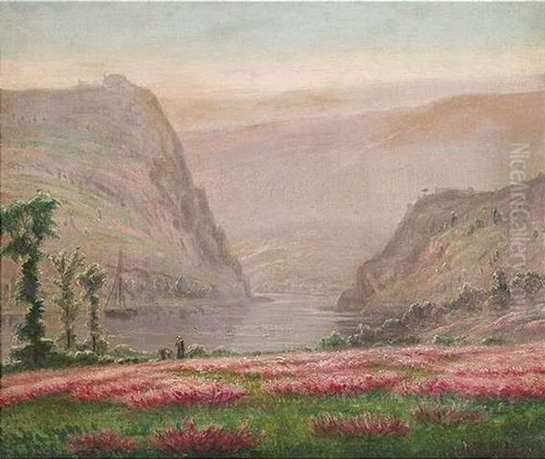 Sommerliche Flusslandschaft - view 1