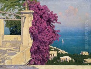 Bugenwilla, Capri