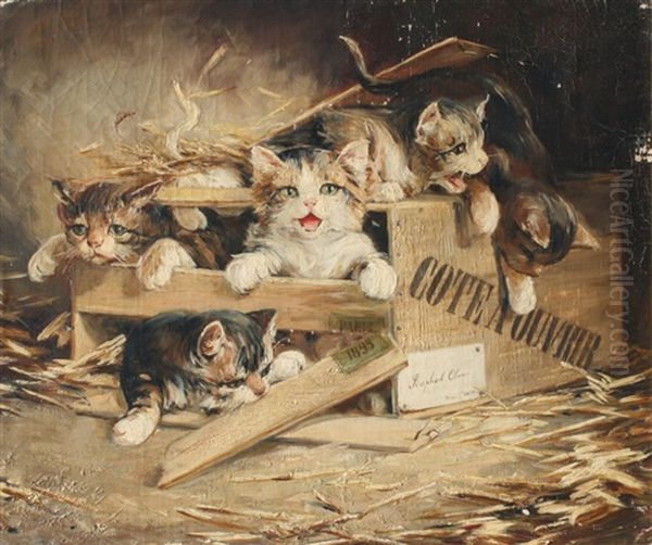 Kittens Playing In A Box - view 1