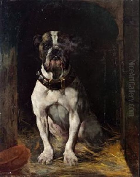 Bulldog - view 1