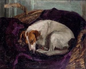 Perro Dormido by Frederico Olaria