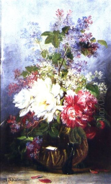 Flores - view 1