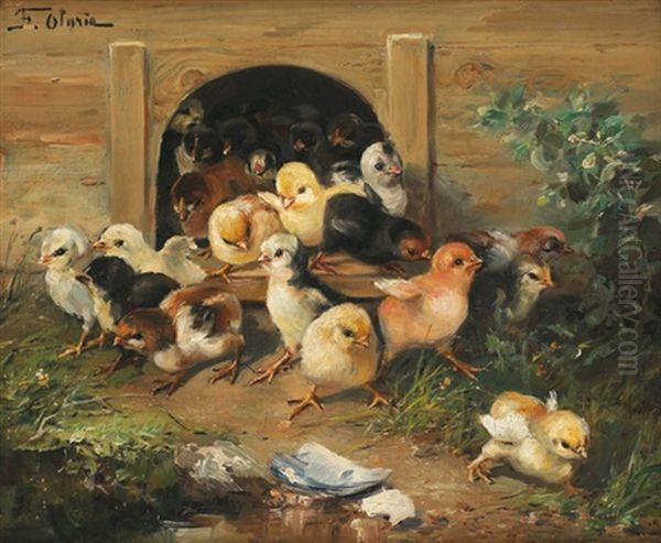 Poussins - view 1