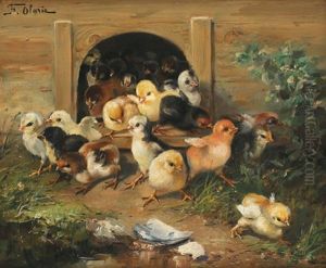 Poussins by Frederico Olaria