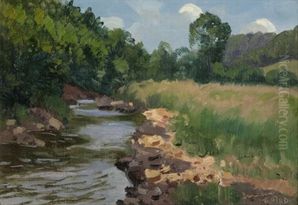 Sommertag An Einem Flusslauf Bei Bad Brambach In Sachsen - view 1