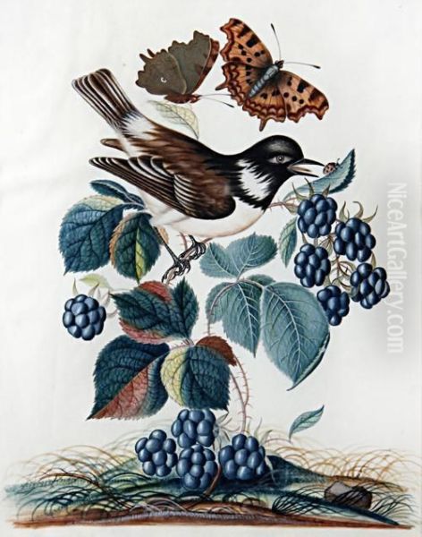 A Collection Of Twenty-one Bird And Insect Studies Amongst Fruit And Flowers - view 1