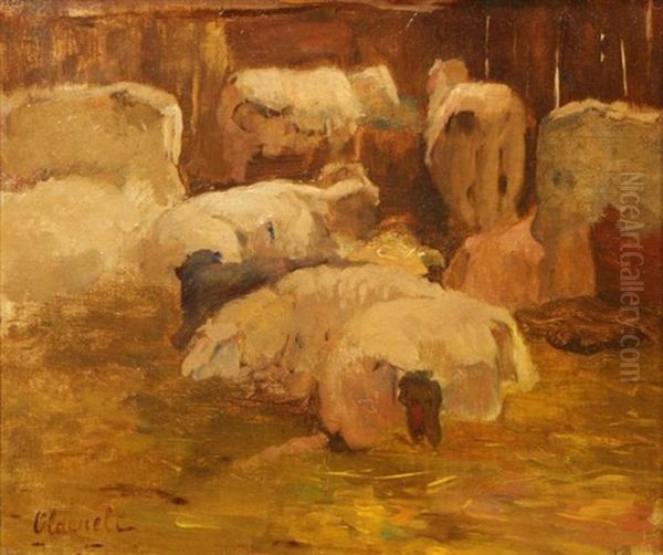 Sheep - view 1