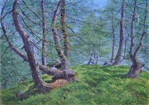 Sous-bois, Pinede Marine by Rodolfo Olgiati