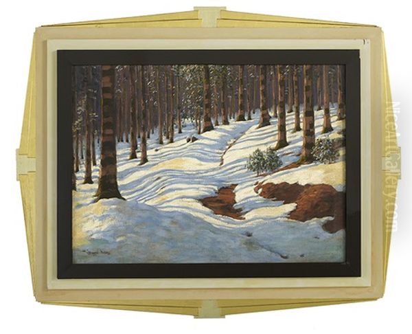Winter Reflections - view 1