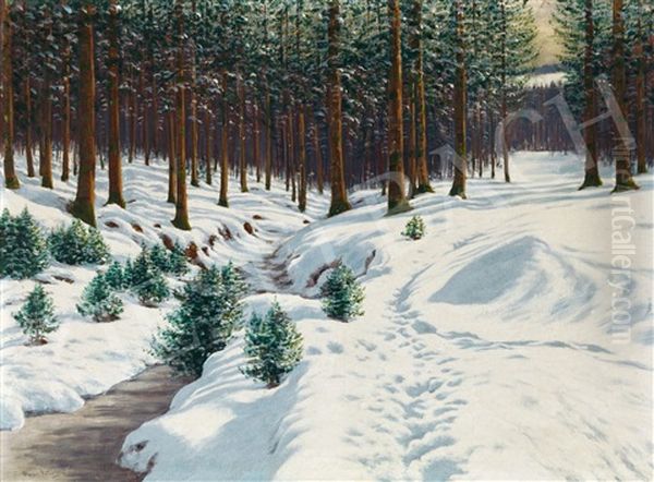 Winter Lights In The Forest - view 1