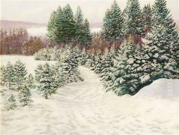 Verschneite Winterlandschaft Mit Tannen - view 1
