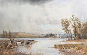 Cattle Watering By A River Cattle Watering By A River