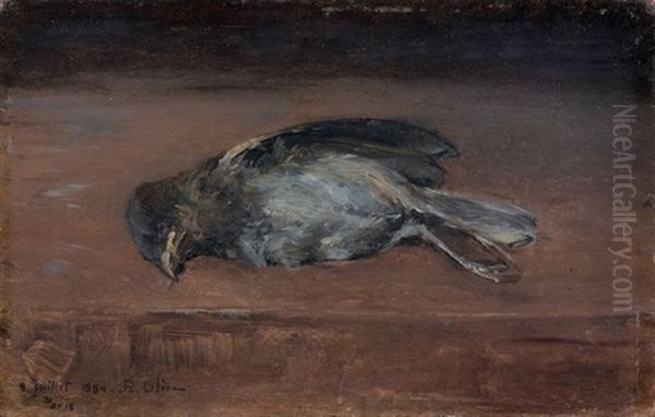 Oiseau - view 1