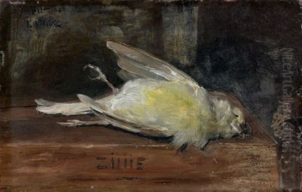 Oiseau - view 1