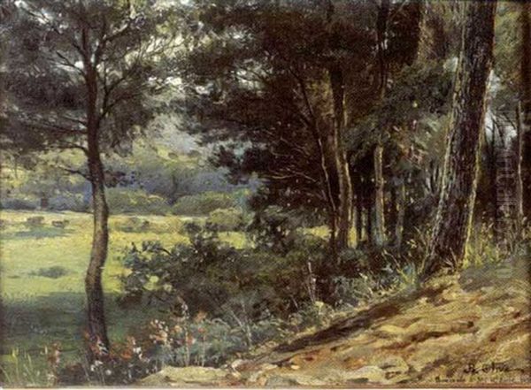 Paysage Boise A La Clairiere - view 1