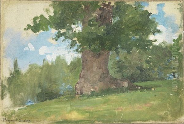 Paisagem - view 1