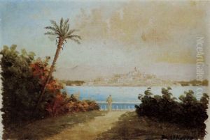 Paesaggio Di Mare
