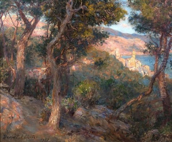 Italian Coastal View - view 1