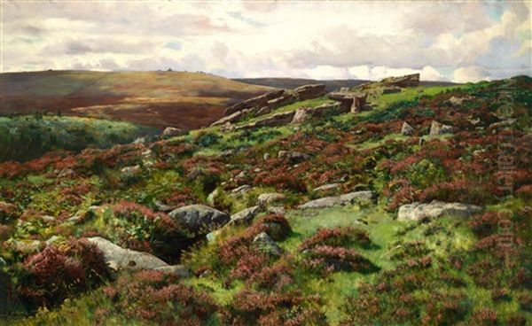 Hochmoor - view 1