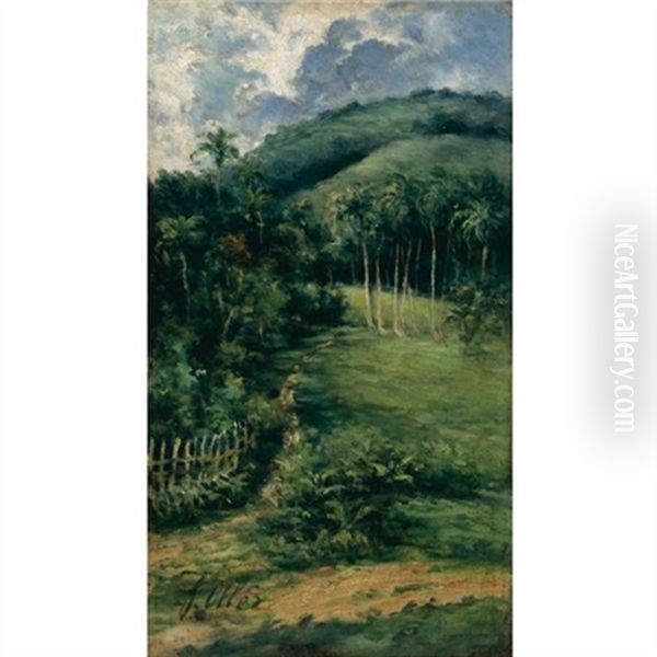 View Of The Guaraguao - view 1