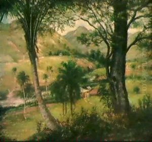 Paisaje De Guaraguao
