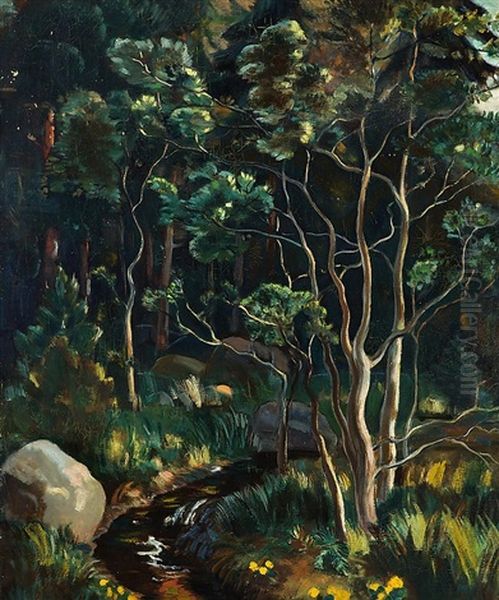 Forest - view 1