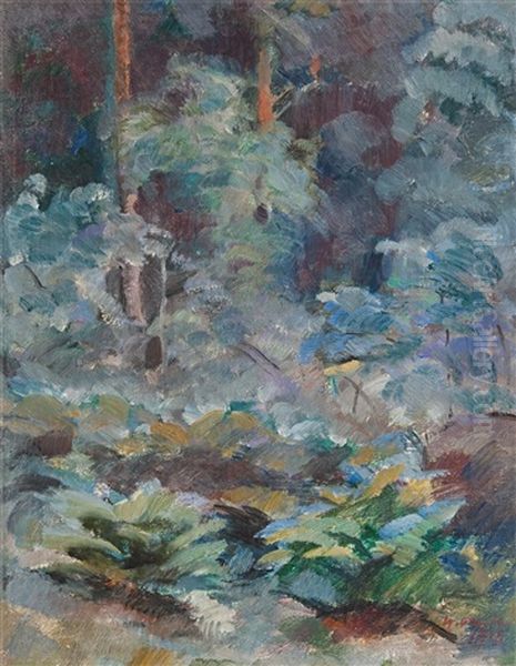 Forest - view 1