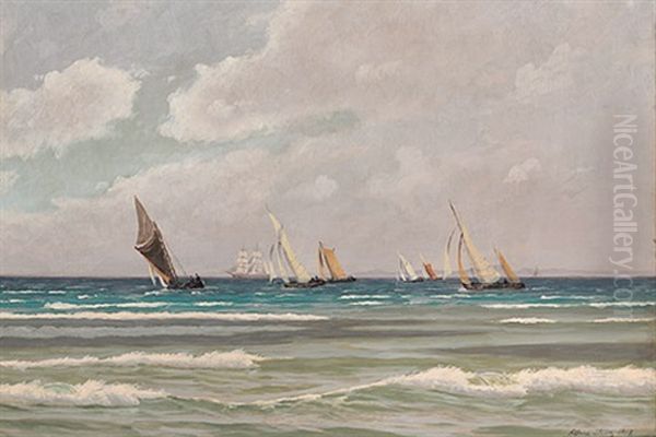 Besonnte Marine Mit Zahlreichen Segelbooten An Einem Prachtvollen Sommertag - view 1