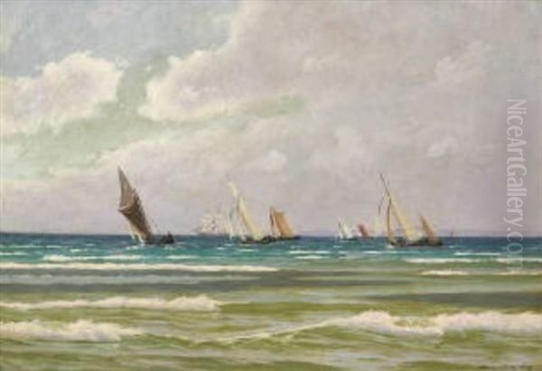 Marine - view 1