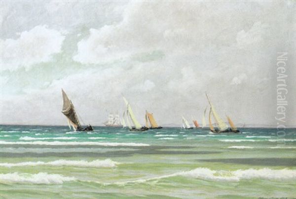 Blick Auf Bunte Segelboote Bei Auffrischenden Wind - view 1