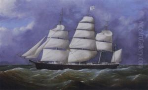 The Brig "lily" The Brig "lily"