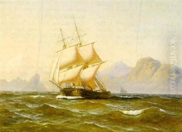 Marine - view 1