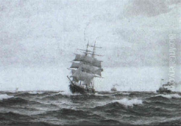 Marine Med Skibe Pa Havet - view 1