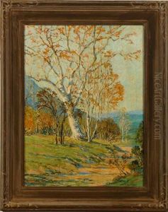 Sycamores In Landscape