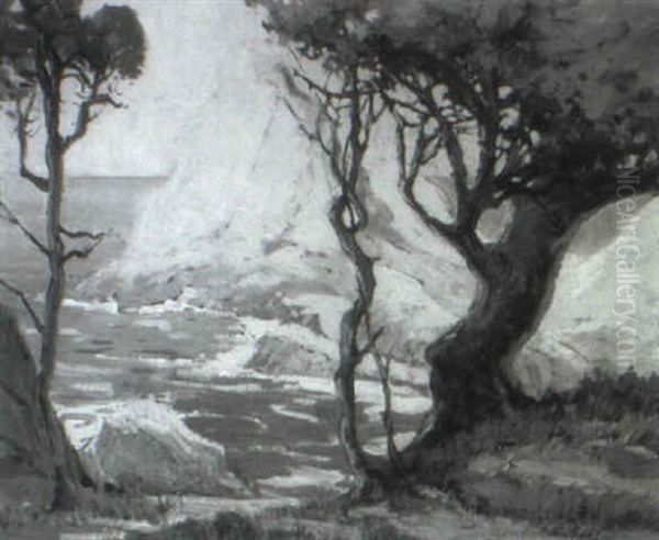 California Coast - view 1