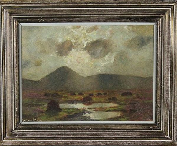 Landscape - West Of Ireland - view 1