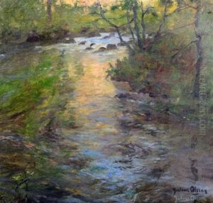 A Woodland Stream A Woodland Stream