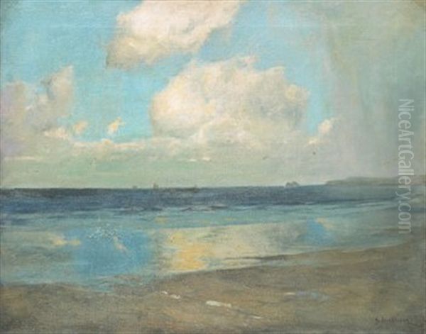 Kustlandskap Med Segelbatar Vid Horisonten - view 1