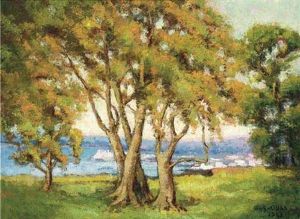 Trees On The Coast