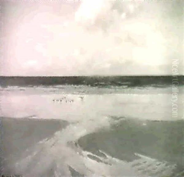 Gulls By The Shore - view 1